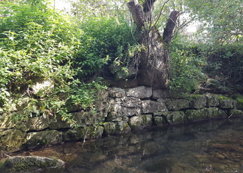 Etat de la berge droite (extérieur de courbe) avant travaux