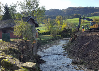 Etat des berges avant travaux, après débroussaillage
