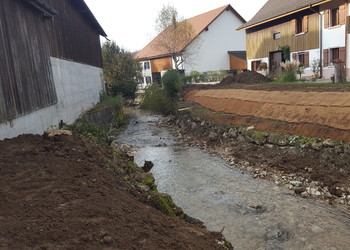 Lits de plants et plançons sur enrochement de pied de berge existant