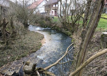 Etat de la berge droite avant réalisation des travaux