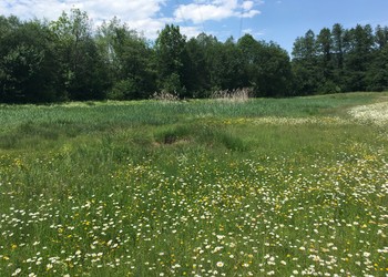 Plan de gestion et d'entretien A16