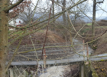 Travaux d’abattage effectués dans la future zone dédiée à la biodiversité