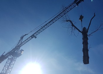 Utilisation d’une grue pour effectuer des abattages 