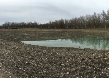 Transformation d’un ancien bassin de décantation en mare favorable aux batraciens (janvier 2018)