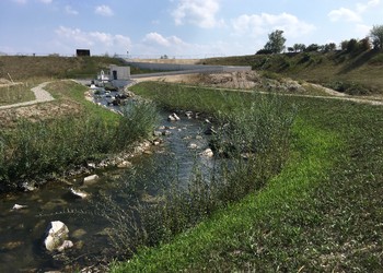 Etat végétalisé après mise en eau (septembre 2018)