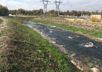 Etat végétalisé après mise en eau (octobre 2018)