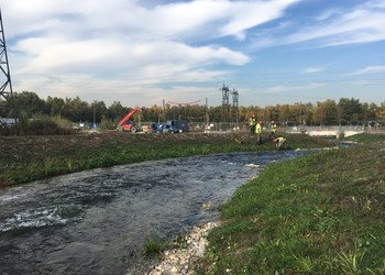 Plantation des hélophytes (octobre 2018)