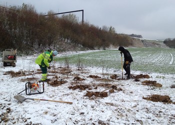 Plantation des structures ligneuses (novembre 2013)