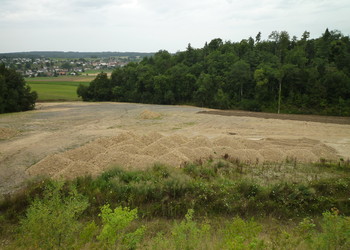 Remise en place de substrats maigres après la fin du chantier de remblayage (août 2013)