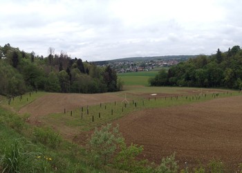 Vue d’ensemble du site juste après le semis de la prairie fleurie (avril 2014)