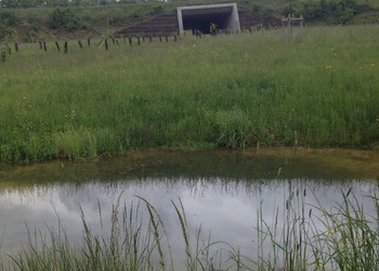 La présence d’un point d’eau permanent aux abords du passage à faune est un plus, notamment en période sèche estivale (mai 2016)