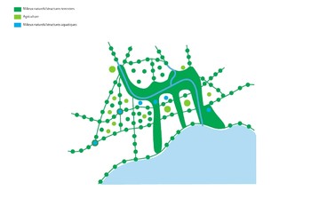 Schéma directeur des Hautes Ecoles