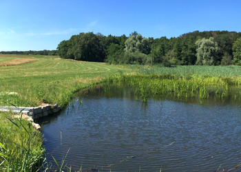 Vue d’ensemble de l’étang aval