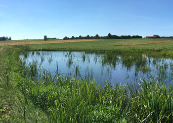 Vue d’ensemble de l’étang aval