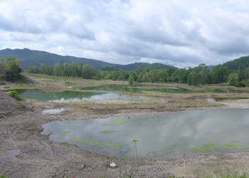 Mai 2020 ; Mosaïque de milieux humides créés à fleur d’eau