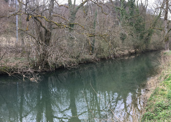 Etat avant travaux (mars 2017) : structure des berges et du cordon boisé. Sur cette image, le niveau d’eau est encore influencé par le seuil situé quelques centaines de mètres en aval.