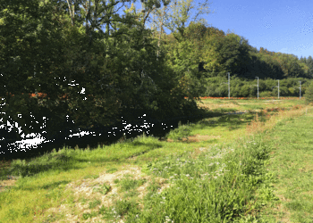 Etat 1 an après travaux (mai 2020) : la végétation se développe sur les berges et rive et le cours d’eau façonne lui-même son tracé.