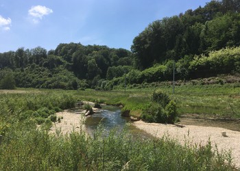 Etat 1 an après travaux (mai 2020) : la végétation se développe sur les berges et rive et le cours d’eau façonne lui-même son tracé.