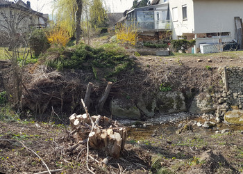 Avant travaux : berge raide, stabilisée et peu de possibilité d’évolution naturelle du lit du ruisseau.