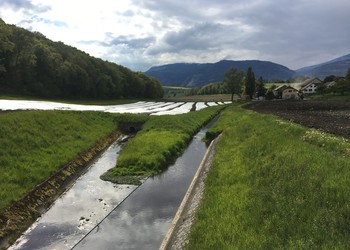 Etat initial (2017) – Le Bey canalisé (secteur aval).