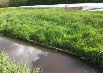 Etat initial (2017) – Berges stabilisées, lit mineur figé et homogène, interface terre/eau réduit à néant 