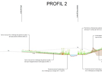 Projet – Exemple de profil en travers (secteur amont).