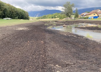 Préparation ponctuelle du sol avant semis hydraulique d’un mélange de graines régionales issues de brossage de prairie (septembre 2020).