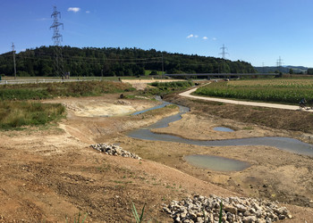 Secteur médian après travaux de terrassement et avant végétalisation (août 2016)