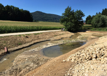 Secteur médian après travaux de terrassement et avant végétalisation (août 2016)