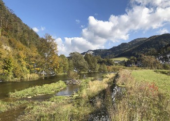 Etat réalisé (octobre 2020) : Morphologie de la Birse deux ans après les travaux 