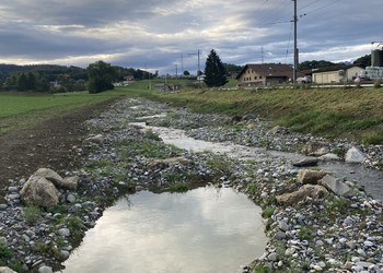 Etat après travaux (2020) aménagement du lit incluant l’aménagement de mares favorables notamment aux batraciens et aux libellules.