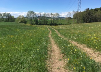 Etat initial (2019) – dans ce secteur, le ruisseau était enterré sous tuyau jusqu’à la Biorde.