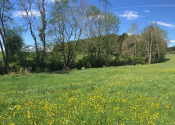 Etat initial (2019) – dans ce secteur, le ruisseau était enterré sous tuyau jusqu’à la Biorde. La confluence de la Goletta avec la Biorde se résumait à un tuyau perché dans la berge.