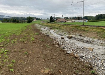 Etat réalisé (2020) remise à ciel ouvert dans l’espace réservé aux eaux - biodiversité (13m).