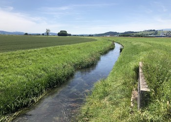 PROTECTION CONTRE LES CRUES ET REVITALISATION DU NOZON À ORBE ET CHAVORNAY (VD)