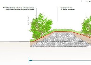 Exemple de profil en travers imaginé afin d’assurer la protection contre les crues mais également le développement et la diversification de milieux naturels typiques de bords de cours d’eau.