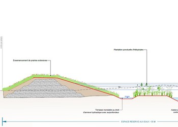 Exemple de profil en travers imaginé afin d’assurer la protection contre les crues mais également le développement et la diversification de milieux naturels typiques de bords de cours d’eau.