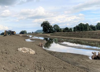 Travaux (septembre 2020) - Aménagement des microstructures sur les berges et dans le lit au fur et à mesure de l’avancement des travaux de terrassement. 