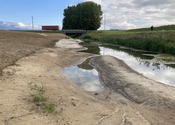 Travaux (septembre 2020) - Aménagement de terrasses inondables et annexes hydrauliques en pied de berge.