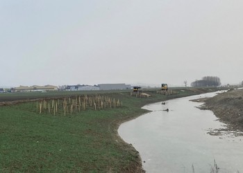 Travaux (janvier 2021) - Plantations des haies et bosquet en rive gauche