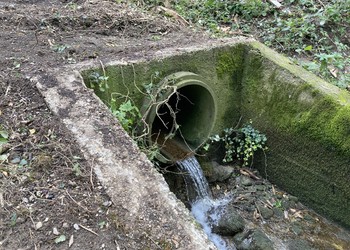 Etat initial (octobre 2020) – Ouvrage de sortie du ruisseau sous tuyau