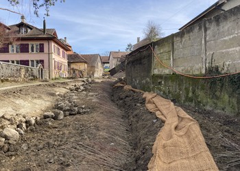 Travaux (février 2021) – Confection de lits de plants et plançons (avant mise en eau).