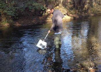 Les relevés des invertébrés aquatiques sont effectués sur le lit du cours d’eau grâce à un filet normé.