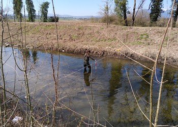 Prise de mesures de la profondeur des eaux, de la vitesse d’écoulement et du type de substrat avant revitalisation de l’Aire à Bernex et Perly-Certoux (GE). Ici, les données ont été récoltées tous les 80 cm sur 15 profils en travers. 