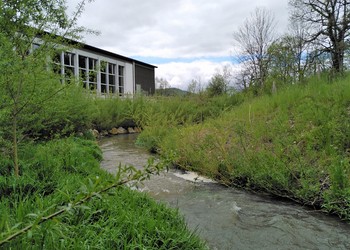 Remise en état des berges du ruisseau de Montsevelier à Courchapoix (JU)
