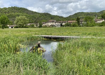 Etat réalisé 1 an et demi après les travaux (mai 2021) : zone humide créée en lieu et place des surfaces de dépôts de matériaux inertes