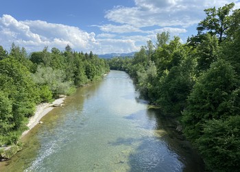 Vue générale de la zone alluviale