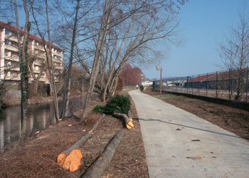 Travaux (mars 2006) : Abattages et premières démolitions