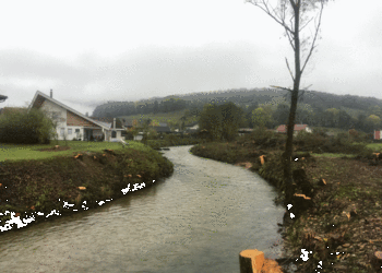 Etat initial (octobre 2019) - Tronçon dédié à la protection contre les crues (après les travaux d’abattage). Le gabarit du cours d’eau est insuffisant et que son état morphologique peut être qualifié comme atteint (variabilité de la largeur : nulle, variabilité de la profondeur limitée, etc.)