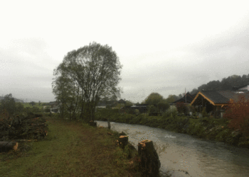 Etat initial (octobre 2019) - Tronçon dédiée à la protection contre les crues (après les travaux d’abattages). Le gabarit du cours d’eau est insuffisant et que son état morphologique peut être qualifié comme atteint (variabilité de la largeur : nulle, variabilité de la profondeur limitée, etc.)